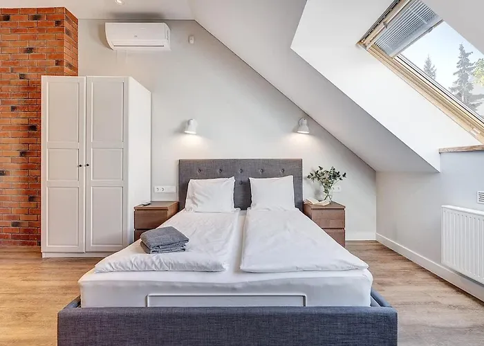 Domillion New Modern Old Town U2304 Διαμέρισμα Βίλνιους